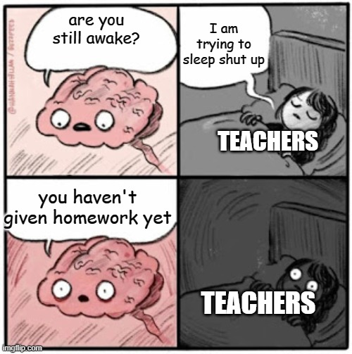 Brain Before Sleep | I am trying to sleep shut up; are you still awake? TEACHERS; you haven't given homework yet; TEACHERS | image tagged in brain before sleep | made w/ Imgflip meme maker
