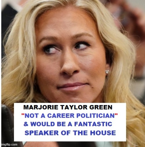 MTG would make a fantastic "Speaker of the House." | image tagged in not a career politician,tough,direct,fearless | made w/ Imgflip meme maker