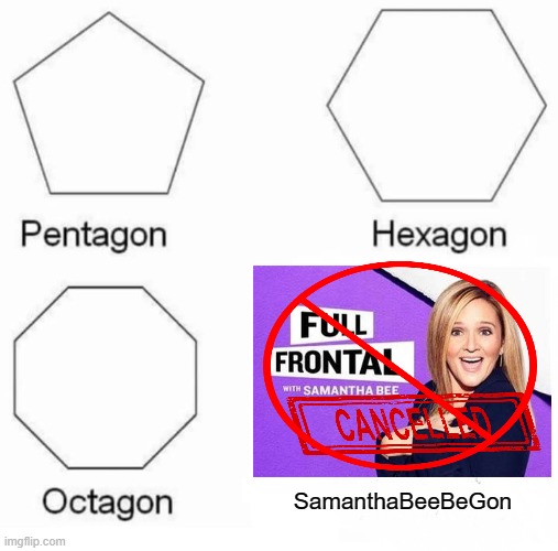 Samanatha Bee, "Full Frontal", Gone... | SamanthaBeeBeGon | image tagged in memes,pentagon hexagon octagon,comedy,politics,political memes,cancel culture | made w/ Imgflip meme maker