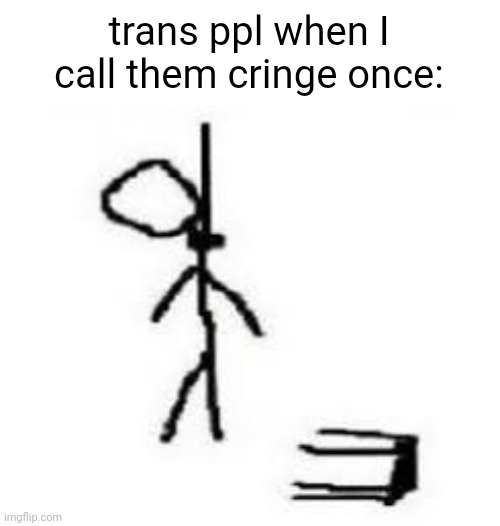 trans ppl when I call them cringe once: | made w/ Imgflip meme maker
