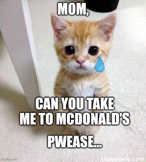 Pweeseeee |  MOM, CAN YOU TAKE ME TO MCDONALD'S; PWEASE... | image tagged in memes,cute cat | made w/ Imgflip meme maker