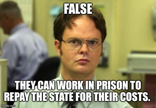 Dwight Schrute Meme | FALSE THEY CAN WORK IN PRISON TO REPAY THE STATE FOR THEIR COSTS. | image tagged in memes,dwight schrute | made w/ Imgflip meme maker