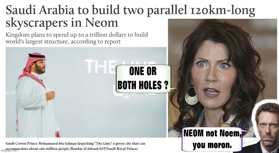 one in the pink, one in the stink | image tagged in kristi noem,saudi arabia,house,south dakota,neom,qanon cult | made w/ Imgflip meme maker