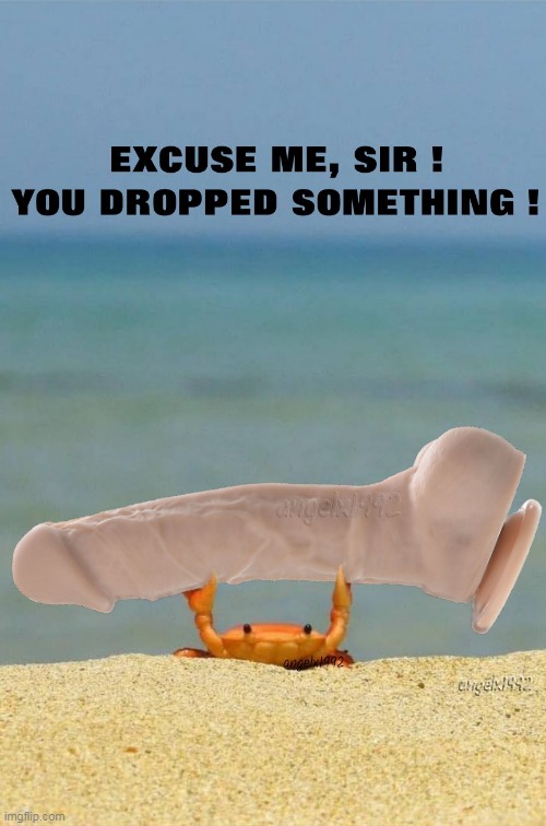 image tagged in crab,dildo,sex toys,lgbtq,beach,anal | made w/ Imgflip meme maker