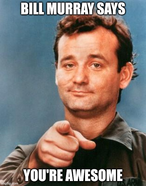 Bill Murray You're Awesome | BILL MURRAY SAYS; YOU'RE AWESOME | image tagged in bill murray you're awesome | made w/ Imgflip meme maker