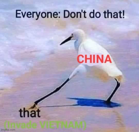 yo China are you good | image tagged in china invades vietnam,china,vietnam,oops | made w/ Imgflip meme maker
