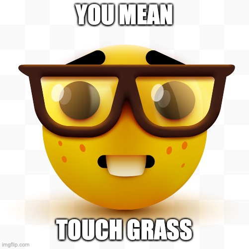 Nerd emoji | YOU MEAN TOUCH GRASS | image tagged in nerd emoji | made w/ Imgflip meme maker