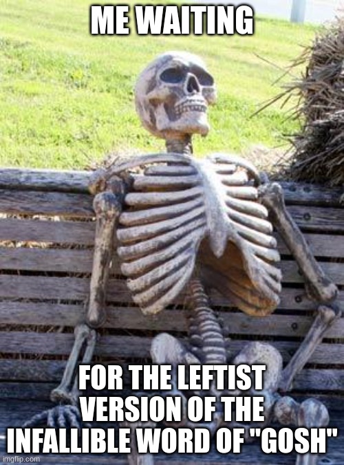 Memes_omnipertainment | ME WAITING; FOR THE LEFTIST VERSION OF THE INFALLIBLE WORD OF "GOSH" | image tagged in memes,waiting skeleton | made w/ Imgflip meme maker