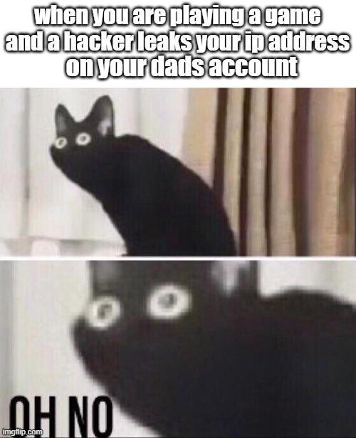 Oh no cat | when you are playing a game and a hacker leaks your ip address; on your dads account | image tagged in oh no cat | made w/ Imgflip meme maker
