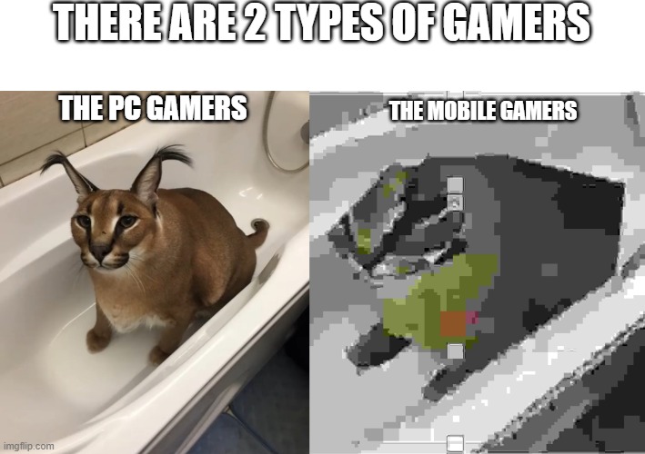THERE ARE 2 TYPES OF GAMERS; THE PC GAMERS; THE MOBILE GAMERS | image tagged in big floppa in the tub,gaming,goofy ah memes | made w/ Imgflip meme maker