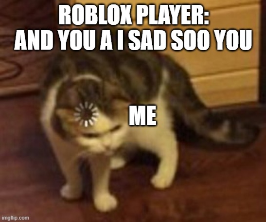 Ro- confusion | ROBLOX PLAYER: AND YOU A I SAD SOO YOU; ME | image tagged in loading cat,memes | made w/ Imgflip meme maker