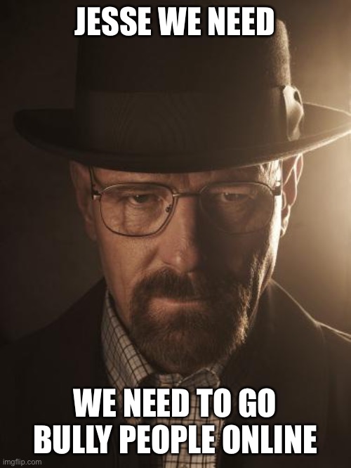 Walter White | JESSE WE NEED; WE NEED TO GO BULLY PEOPLE ONLINE | image tagged in walter white | made w/ Imgflip meme maker