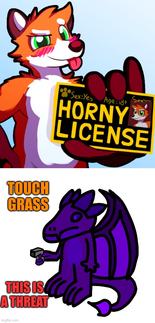 Random shit I found somehow (yes it’s a degenerate template) | TOUCH GRASS; THIS IS A THREAT | image tagged in horny license | made w/ Imgflip meme maker