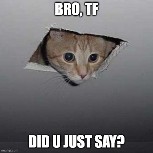 Huh? | BRO, TF; DID U JUST SAY? | image tagged in memes,ceiling cat | made w/ Imgflip meme maker