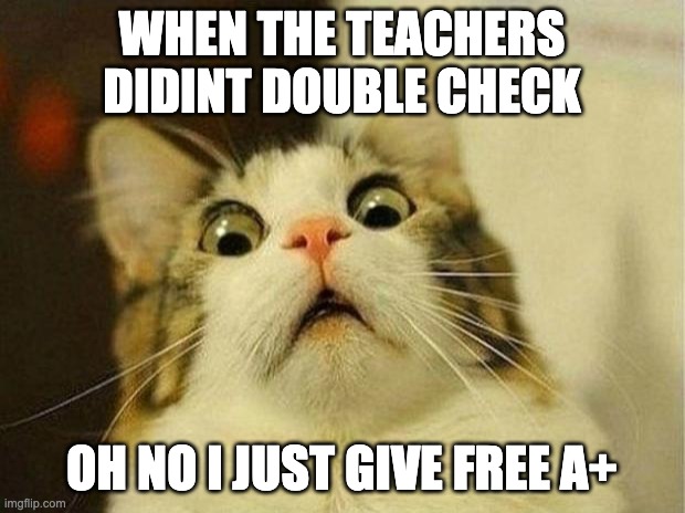my first meme | WHEN THE TEACHERS DIDINT DOUBLE CHECK; OH NO I JUST GIVE FREE A+ | image tagged in memes,scared cat | made w/ Imgflip meme maker