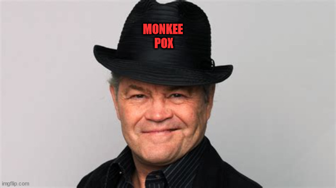 Monkee pox |  MONKEE
 POX | image tagged in monkey,pox,maga,antivax,pandemic | made w/ Imgflip meme maker