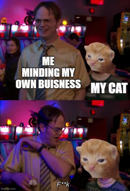 Angela scared Dwight | ME MINDING MY OWN BUISNESS; MY CAT | image tagged in angela scared dwight | made w/ Imgflip meme maker