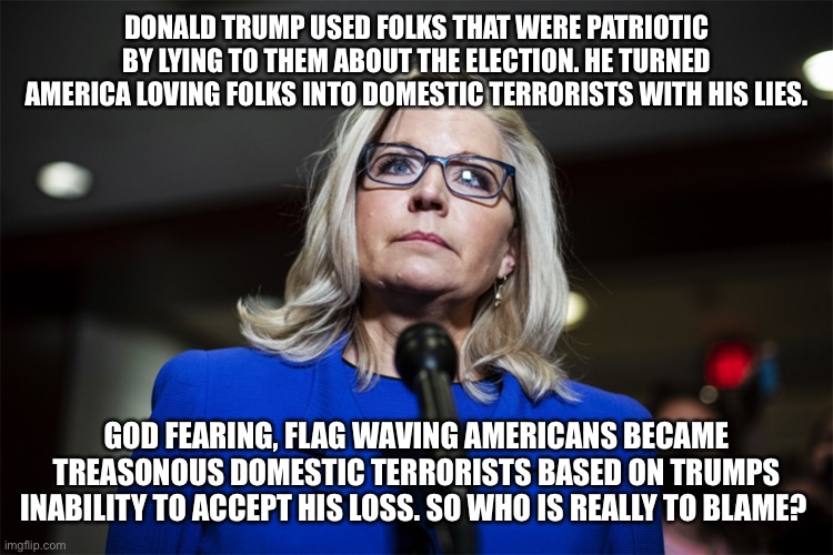Liz Cheney | DONALD TRUMP USED FOLKS THAT WERE PATRIOTIC BY LYING TO THEM ABOUT THE ELECTION. HE TURNED AMERICA LOVING FOLKS INTO DOMESTIC TERRORISTS WITH HIS LIES. GOD FEARING, FLAG WAVING AMERICANS BECAME TREASONOUS DOMESTIC TERRORISTS BASED ON TRUMPS INABILITY TO ACCEPT HIS LOSS. SO WHO IS REALLY TO BLAME? | image tagged in liz cheney | made w/ Imgflip meme maker
