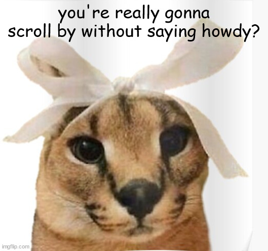 AWEEEEEEEEEEE | you're really gonna scroll by without saying howdy? | image tagged in miss floppa | made w/ Imgflip meme maker