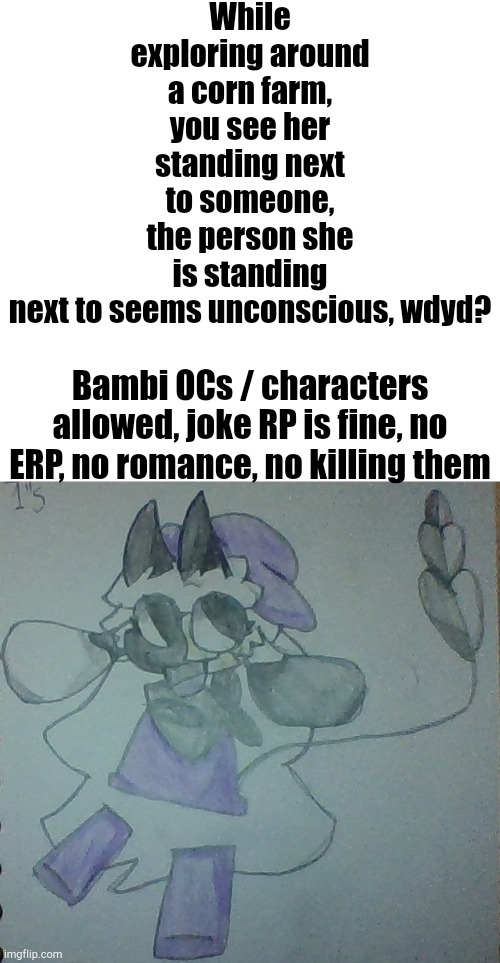 Also, why are there so many RPs with the rule: "No bambi OCs"? | While exploring around a corn farm, you see her standing next to someone, the person she is standing next to seems unconscious, wdyd? Bambi OCs / characters allowed, joke RP is fine, no ERP, no romance, no killing them | image tagged in lunambi | made w/ Imgflip meme maker