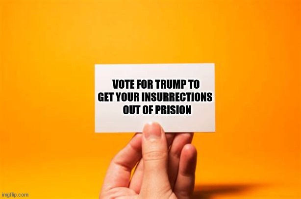 Vote Trump | VOTE FOR TRUMP TO 
GET YOUR INSURRECTIONS  
OUT OF PRISION | image tagged in traitor,criminal,donald trump,maga,gop | made w/ Imgflip meme maker