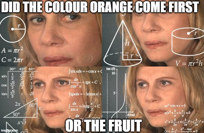 shower thoughts - ep1 |  DID THE COLOUR ORANGE COME FIRST; OR THE FRUIT | image tagged in calculating meme,shower thoughts,relatable | made w/ Imgflip meme maker