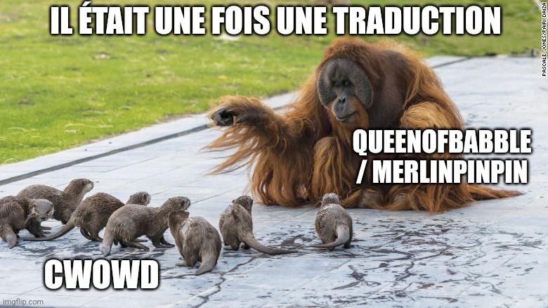 Just like that | IL ÉTAIT UNE FOIS UNE TRADUCTION; QUEENOFBABBLE / MERLINPINPIN; CWOWD | image tagged in just like that | made w/ Imgflip meme maker