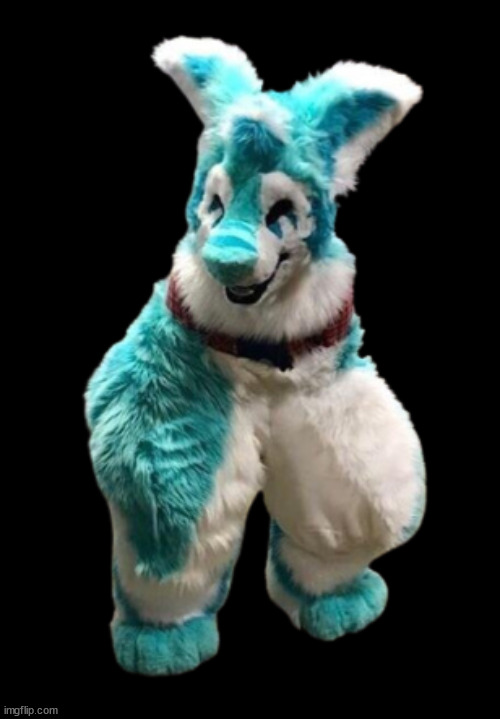 amongus fursuit | image tagged in amongus fursuit | made w/ Imgflip meme maker