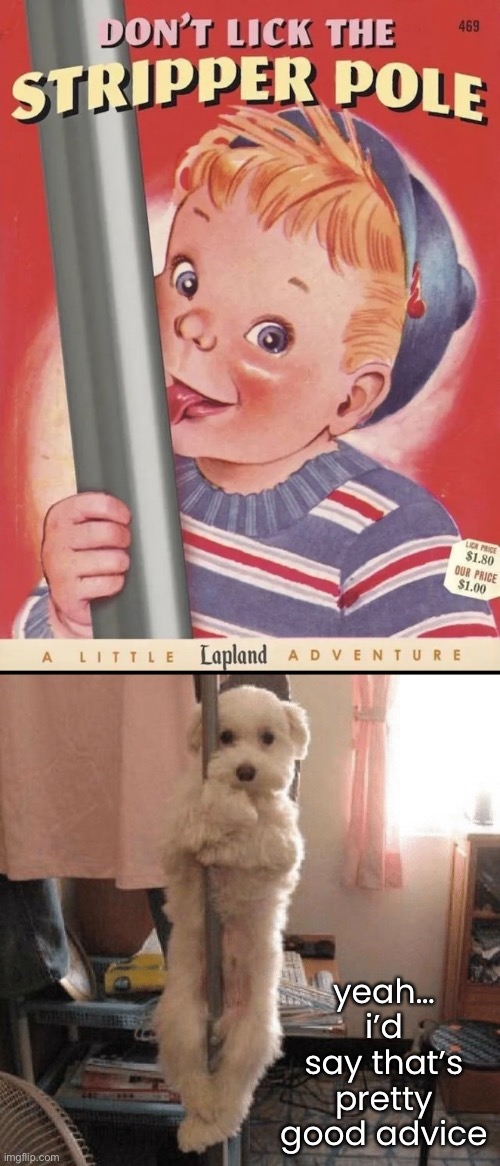 It’s covered with butt juice. | yeah…
i’d
say that’s pretty good advice | image tagged in funny memes,sex jokes,stripper pole | made w/ Imgflip meme maker
