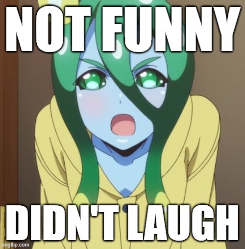 NOT FUNNY DIDN'T LAUGH | made w/ Imgflip meme maker