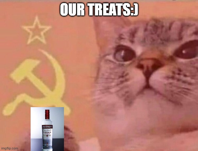 Communist cat | OUR TREATS:) | image tagged in communist cat | made w/ Imgflip meme maker