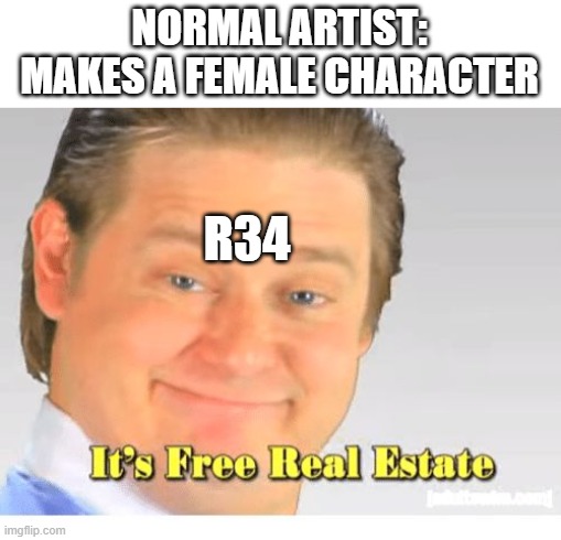 Why? | NORMAL ARTIST: MAKES A FEMALE CHARACTER; R34 | image tagged in it's free real estate | made w/ Imgflip meme maker
