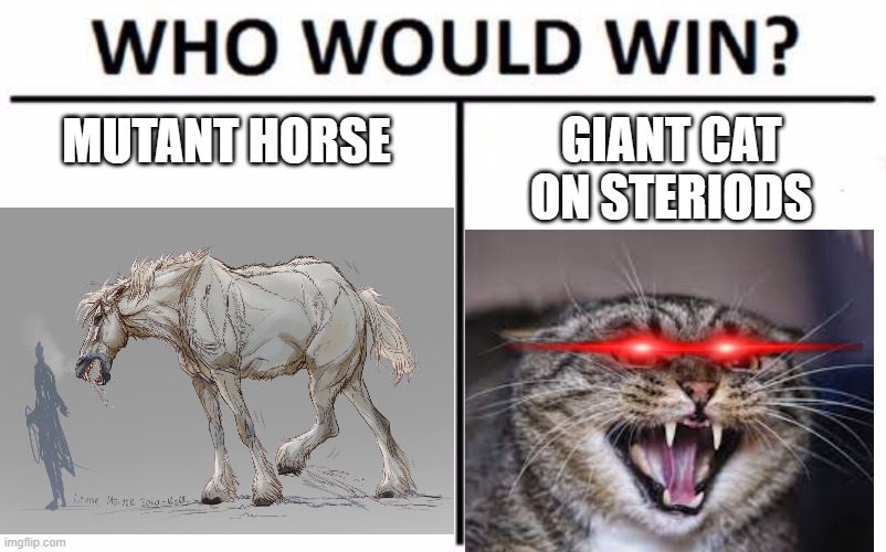 my mutant rainbow horse met a oponent worthy of her power | MUTANT HORSE; GIANT CAT ON STERIODS | image tagged in horse,who would win,cat,cats | made w/ Imgflip meme maker