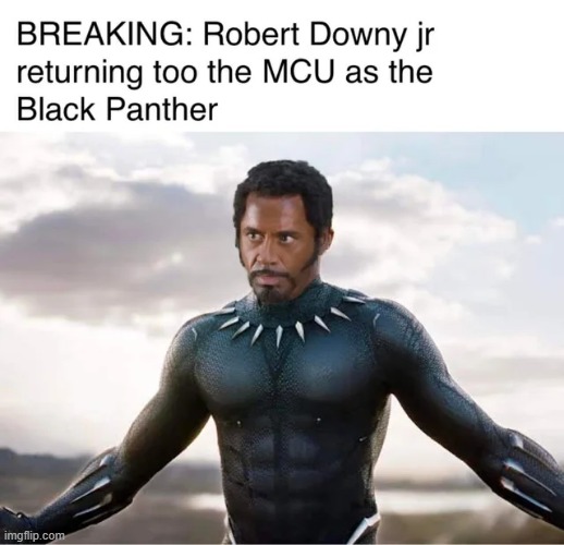 Believe It! | image tagged in black panther | made w/ Imgflip meme maker