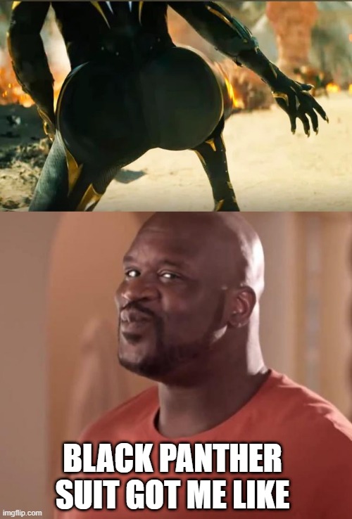 Who is It? | BLACK PANTHER SUIT GOT ME LIKE | image tagged in shaq | made w/ Imgflip meme maker