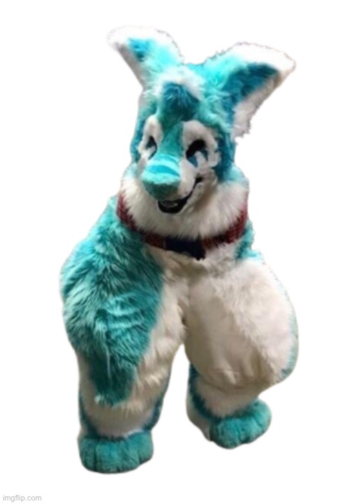 amongus fursuit | image tagged in amongus fursuit | made w/ Imgflip meme maker