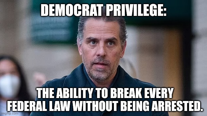 Democrat privilege. | DEMOCRAT PRIVILEGE:; THE ABILITY TO BREAK EVERY FEDERAL LAW WITHOUT BEING ARRESTED. | image tagged in memes | made w/ Imgflip meme maker