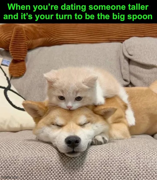 When you’re dating someone taller and it’s your turn to be the big spoon | image tagged in funny memes,relationships,spooning | made w/ Imgflip meme maker