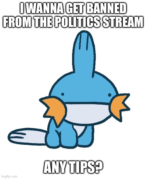 I WANNA GET BANNED FROM THE POLITICS STREAM; ANY TIPS? | made w/ Imgflip meme maker