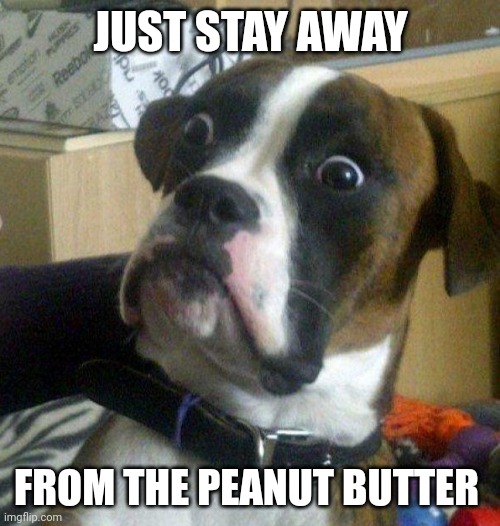 Scared dog | JUST STAY AWAY FROM THE PEANUT BUTTER | image tagged in scared dog | made w/ Imgflip meme maker