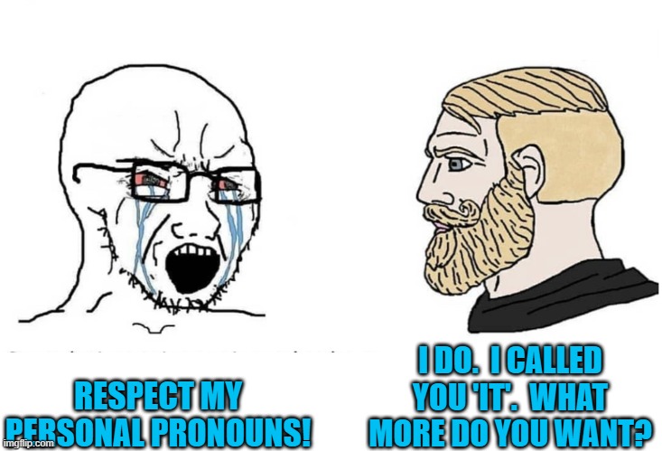 Go ahead leftists DEMAND more respect. | I DO.  I CALLED YOU 'IT'.  WHAT MORE DO YOU WANT? RESPECT MY PERSONAL PRONOUNS! | image tagged in soyboy vs yes chad | made w/ Imgflip meme maker