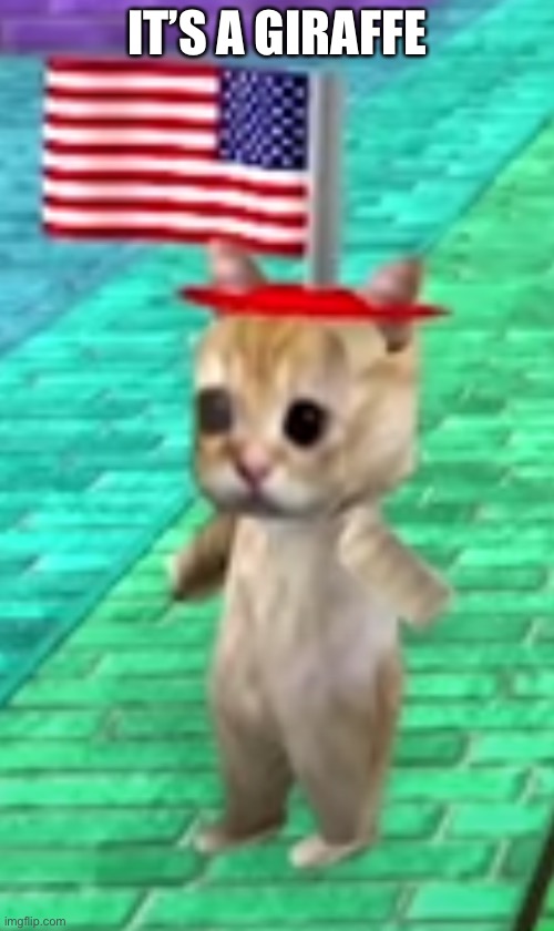 American cat | IT’S A GIRAFFE | image tagged in american cat | made w/ Imgflip meme maker