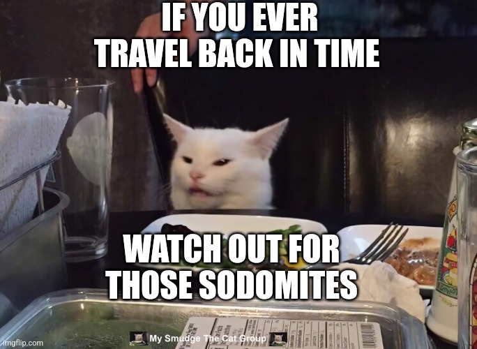 IF YOU EVER TRAVEL BACK IN TIME; WATCH OUT FOR THOSE SODOMITES | image tagged in smudge the cat | made w/ Imgflip meme maker