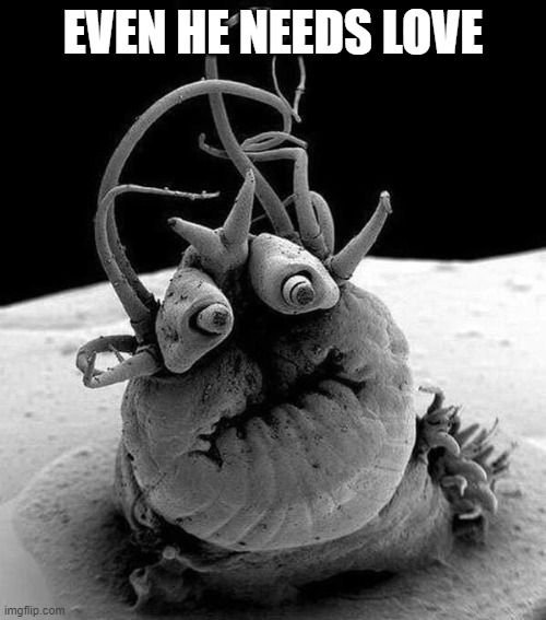 love | EVEN HE NEEDS LOVE | image tagged in humor | made w/ Imgflip meme maker