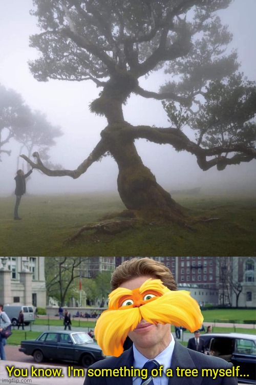 He speaks for the trees | You know. I'm something of a tree myself... | image tagged in the lorax,tree,you know i'm something of a scientist myself | made w/ Imgflip meme maker