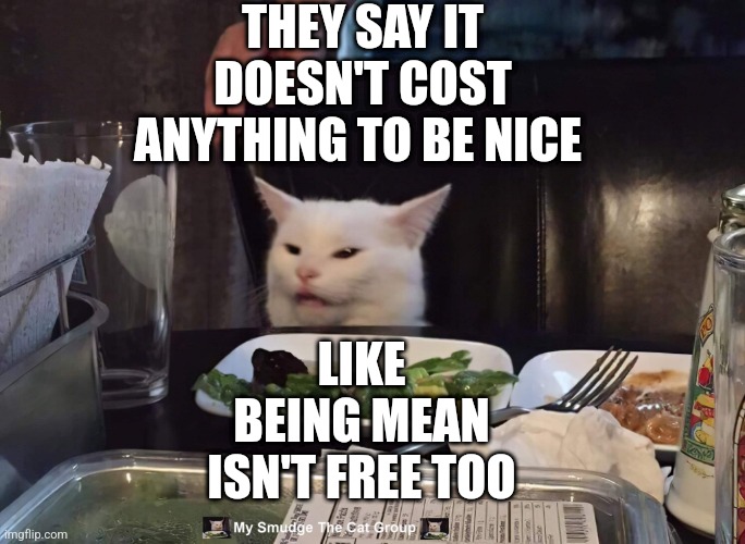 THEY SAY IT DOESN'T COST ANYTHING TO BE NICE; LIKE BEING MEAN ISN'T FREE TOO | image tagged in smudge the cat | made w/ Imgflip meme maker