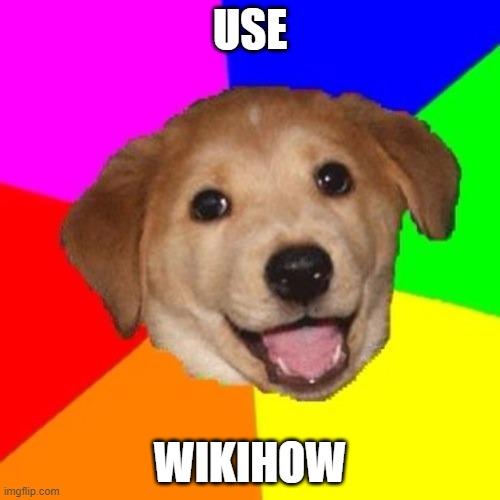 Bad Advice Dog | USE; WIKIHOW | image tagged in bad advice dog,AdviceAnimals | made w/ Imgflip meme maker