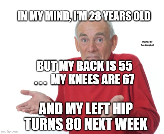 Guess I'll die  |  IN MY MIND, I'M 28 YEARS OLD; MEMEs by Dan Campbell; BUT MY BACK IS 55 . . .  MY KNEES ARE 67; AND MY LEFT HIP TURNS 80 NEXT WEEK | image tagged in guess i'll die | made w/ Imgflip meme maker