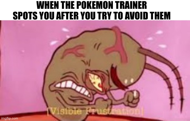 Visible Frustration | WHEN THE POKEMON TRAINER SPOTS YOU AFTER YOU TRY TO AVOID THEM | image tagged in visible frustration,pokemon | made w/ Imgflip meme maker