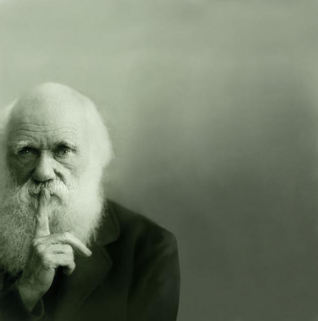 Darwin on sex and music Blank Meme Template